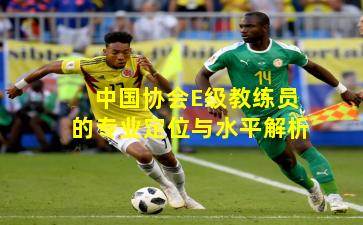 中国协会E级教练员的专业定位与水平解析