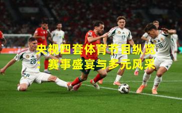 央视四套体育节目纵览：赛事盛宴与多元风采