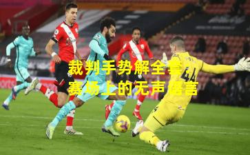 裁判手势解全套：赛场上的无声语言